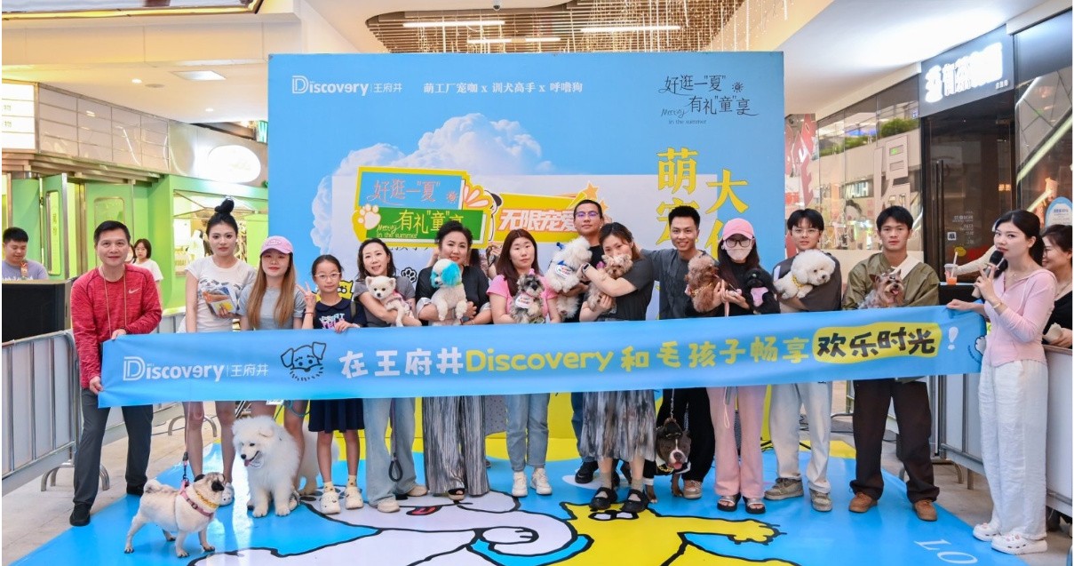 成都mg冰球突破官网入口Discovery