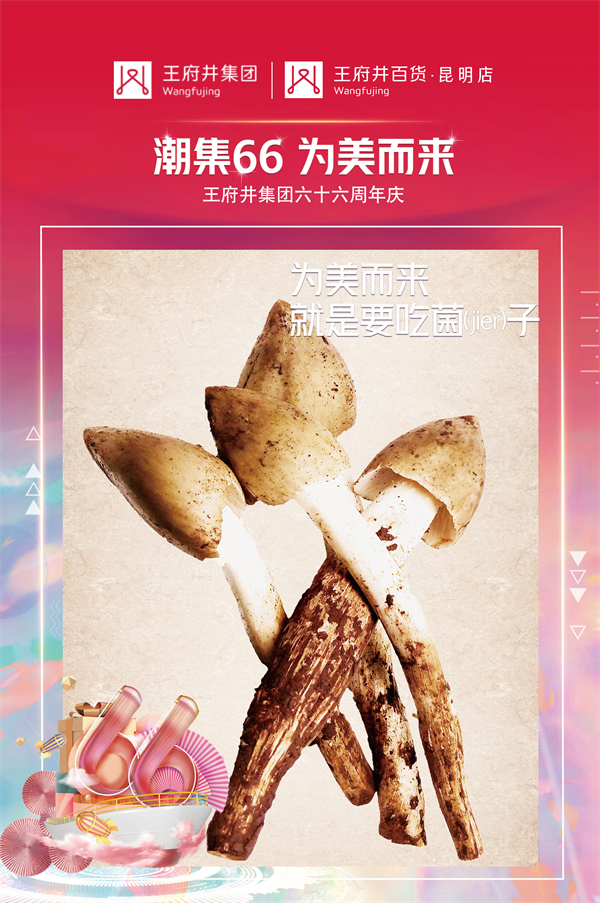 mgͻ(й)ٷվ